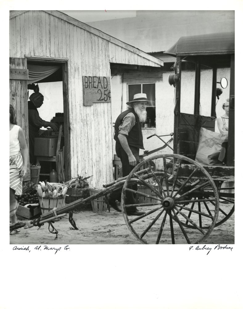 03-062 (click for large image)